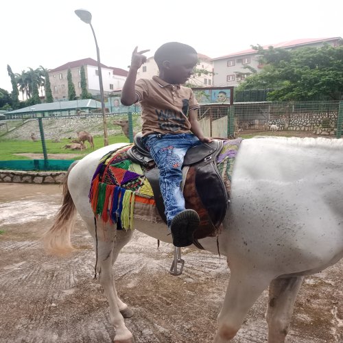 King Ayinla .M .